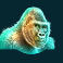 raging rhino slot gorilla symbol