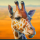 serengeti kings slot giraffe symbol