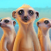 serengeti kings slot meerkats symbol