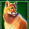 buffalo king megaways slot cougar symbol