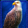 buffalo king megaways slot eagle symbol