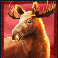 buffalo king megaways slot moose symbol