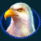buffalo king slot american eagle symbol