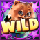 disco dawgs slot pomeranian wild symbol
