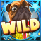 disco dawgs slot pug wild symbol