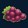 fire joker slot grapes symbol