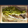 jumanji slot crocodile symbol