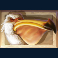 jumanji slot pelican symbol