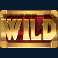 jumanji slot wild symbol