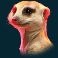 king blitz slot meerkat symbol