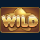 reel rush slot wild symbol
