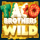 taco brothers slot taco brothers wild symbol