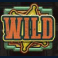 wanted dead or a wild slot wild symbol