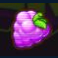 xpander slot grapes symbol