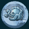 coba slot blue animal token symbol