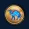 cygnus slot camel symbol