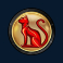 cygnus slot cat symbol