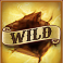 folsom prison slot cockroach nest wild symbol