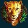 gorilla mayhem slot leopard symbol