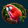 gorilla mayhem slot parrot symbol
