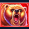 into the wild megaways slot bear symbol