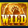 into the wild megaways slot wild symbol