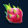 tropical tiki slot dragon fruit symbol