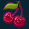 twin spin slot cherries symbol