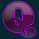 twin spin slot q symbol