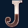 wild trigger slot j symbol