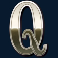 wild trigger slot q symbol