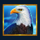 wolf gold power jackpot slot eagle symbol