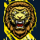 born wild slot lion symbol