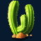 buffalo stack n sync slot cactus symbol
