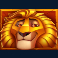 max chance and the safari secrets slot lion symbol