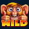 max chance and the safari secrets slot wild symbol