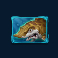 mega don slot gold shark symbol