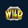 mega don slot wild symbol