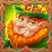 shamrock money pot 10k ways slot wild symbol