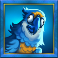 shifting seas slot parrot symbol