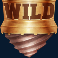 tnt tumble dream drop slot wild symbol