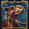 10001 nights megaways slot camel symbol