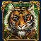 10001 nights megaways slot tiger symbol