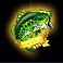 9 bass slot bass scatter symbol