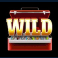 9 bass slot wild symbol