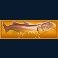 bass boss slot orange fish multiplier symbol