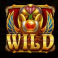 book of golden sands slot wild symbol