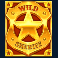 deadly 5 slot sheriff badge wild symbol