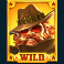 deadly 5 slot sheriff wild symbol