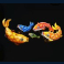 floating dragon megaways slot fish symbol